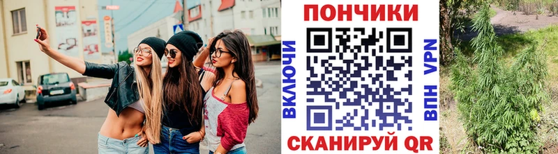 МЕГА онион  где купить   Кувандык  Бошки Шишки планчик 